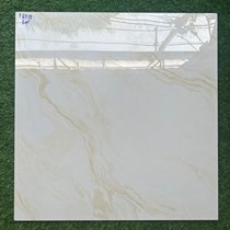 Gạch lát nền giá rẻ 60x60 P6519