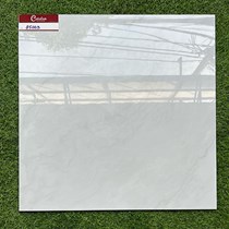 Gạch lát nền giá rẻ 80x80 85003