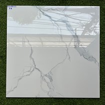 Gạch lát nền Phương Nam 80x80 ECO8811
