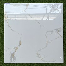 Gạch lát nền Phương Nam 80x80 ECO8812