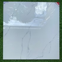 Gạch lát nền Prime 100x100 OV21003