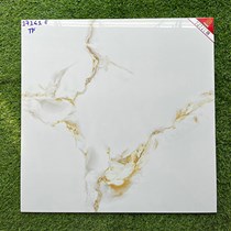 Gạch lát nền Prime 600x600 17161E