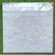 Gạch lát nền Prime 600x600 29607