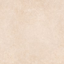 Gạch lát nền Prime 600x600 9102