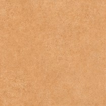 Gạch lát nền Prime 600x600 9109