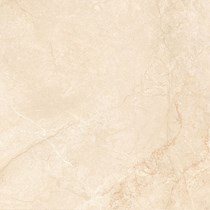Gạch lát nền Prime 600x600 9325