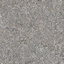 Gạch lát nền Prime 600x600 9697
