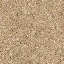Gạch lát nền Prime 600x600 9698