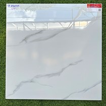 Gạch lát nền Prime 600x600 TP29157K