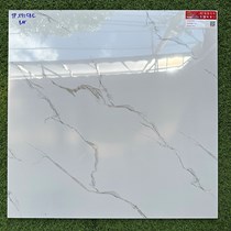 Gạch lát nền Prime 600x600 TP29158K