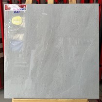 Gạch lát nền Prime 60x60 NYP6635