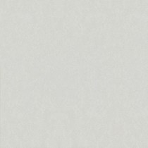 Gạch lát nền Taicera 60x60 G68025