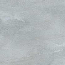 Gạch lát nền Taicera 60x60 G6878M2