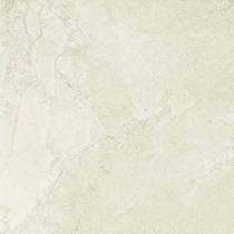Gạch lát nền Taicera 60x60 G68813