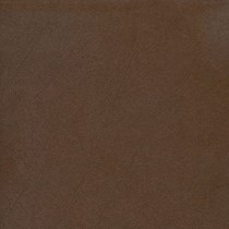 Gạch lát nền Taicera 60x60 G68911