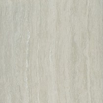Gạch lát nền Taicera 60x60 P67208N