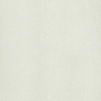 Gạch lát nền Taicera 60x60 P67312N
