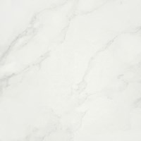 Gạch lát nền Taicera 60x60 P67418N