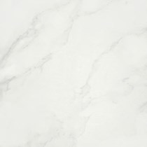 Gạch lát nền Taicera 60x60 P67418N