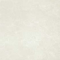 Gạch lát nền Taicera 60x60 P67663N