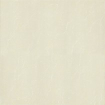 Gạch lát nền Taicera 60x60 P67763N