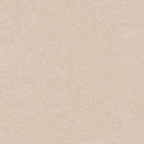 Gạch lát nền Takao 60x60 mờ 16307