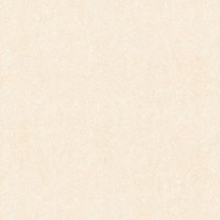 Gạch lát nền Takao 80x80 18001