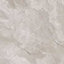 Gạch lát nền Takao 80x80 28116