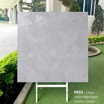 Gạch lát nền Tasa 100x100 bóng 9803
