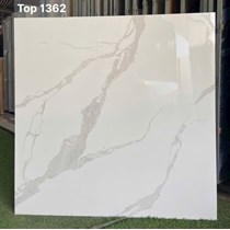 Gạch lát nền Tasa 100x100 TOP 1362