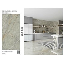 Gạch lát nền Tasa 60x120 TBR60120-1451
