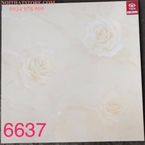Gạch lát nền Tasa 60x60 6637