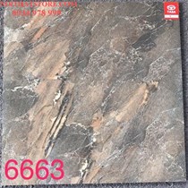 Gạch lát nền Tasa 60x60 6663
