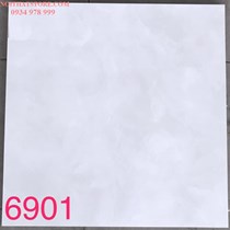 Gạch lát nền Tasa 60x60 BD6901