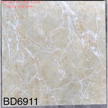 Gạch lát nền Tasa 60x60 BD6911