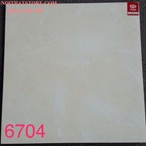 Gạch lát nền Tasa 60x60 SA6704