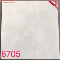 Gạch lát nền Tasa 60x60 SA6705