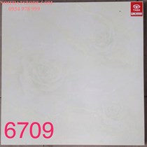 Gạch lát nền Tasa 60x60 SA6709