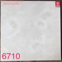 Gạch lát nền Tasa 60x60 SA6710