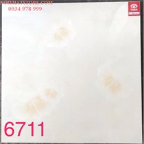 Gạch lát nền Tasa 60x60 SA6711