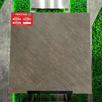 Gạch lát nền Thạch Bàn 60x60 mờ PGM60-0230