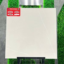 Gạch lát nền Thạch Bàn 60x60 mờ PGM60-0234