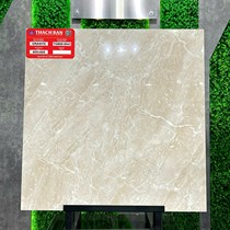 Gạch lát nền Thạch Bàn 60x60 TGB60-0041
