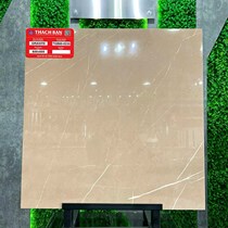 Gạch lát nền Thạch Bàn 60x60 TGB60-0235