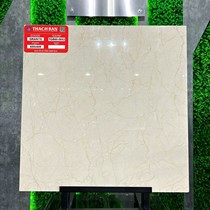 Gạch lát nền Thạch Bàn 60x60 TGB60-0853