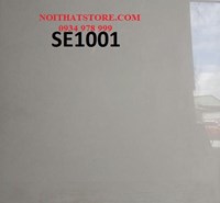 Gạch lát nền Trung Quốc 100x100 SE1001