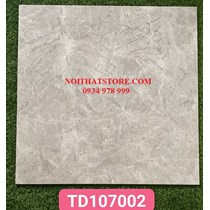 Gạch lát nền Trung Quốc 100x100 TD107002