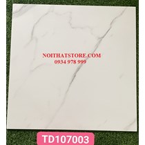 Gạch lát nền Trung Quốc 100x100 TD107003
