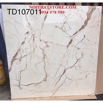 Gạch lát nền Trung Quốc 100x100 TD107011