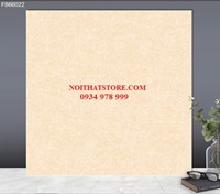 Gạch lát nền TTC 60x60 FB66022